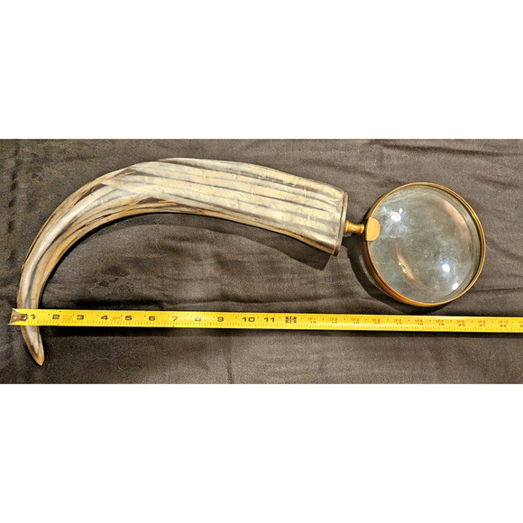 Vintage 1940s 21" Taxidermy Horn w/ 6" Magnifying Glass Optical Lens - Rare Find - Picture 3 of 10